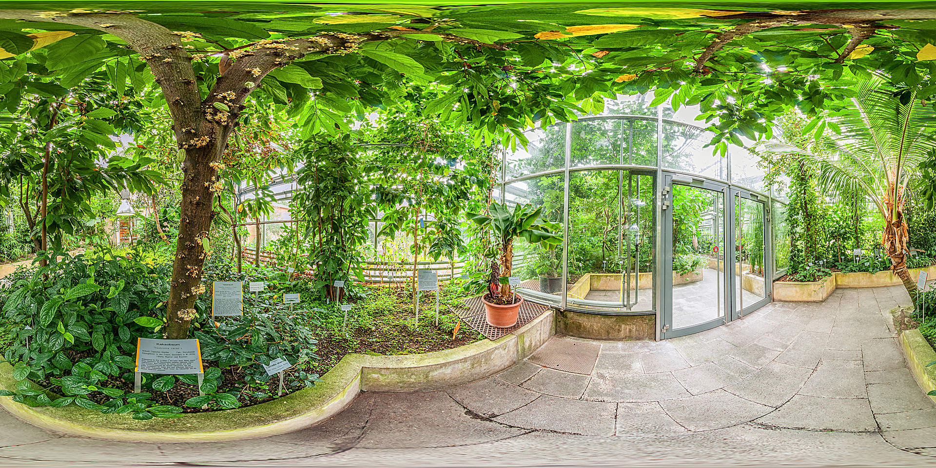 Botanischer Garten Würzburg Tropenschauhaus Tropische