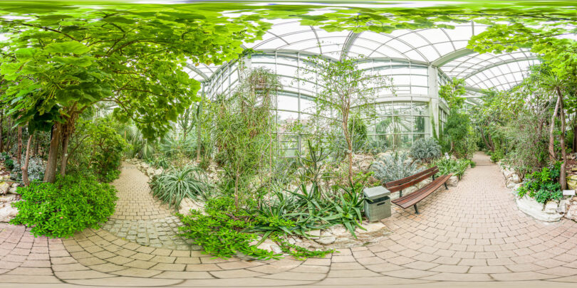 Palmengarten Frankfurt - Virtuelle Tour durch die Schauhäuser